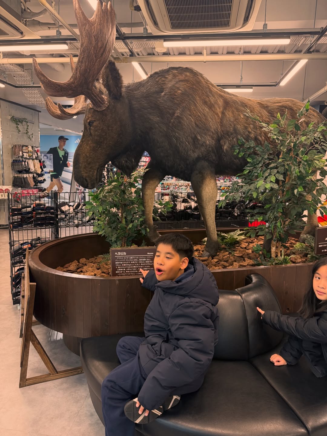 โอ๊ค - สมิทธิ์ อารยะสกุล