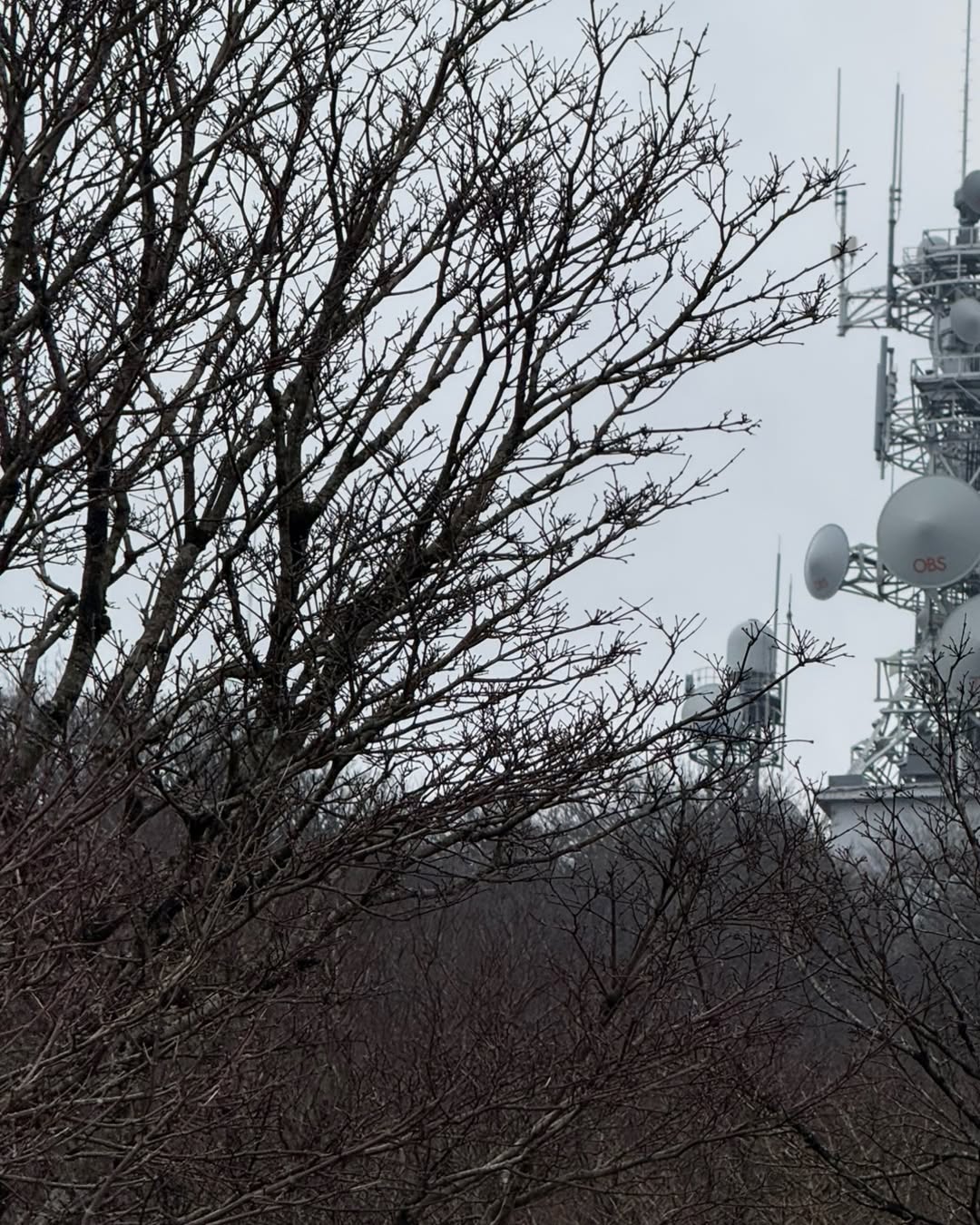 โอ๊ค - สมิทธิ์ อารยะสกุล