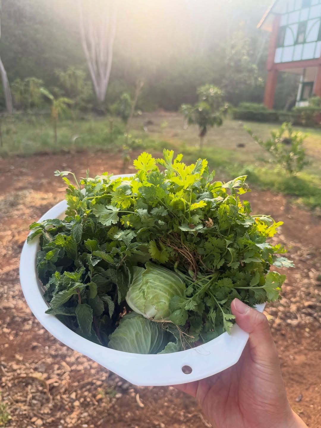 โอ๊ค - สมิทธิ์ อารยะสกุล