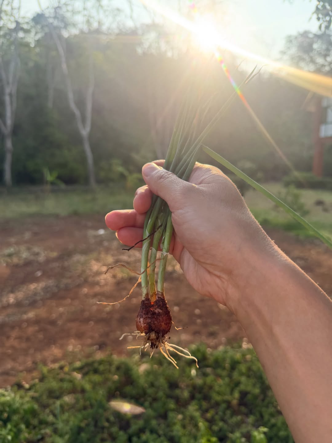 โอ๊ค - สมิทธิ์ อารยะสกุล