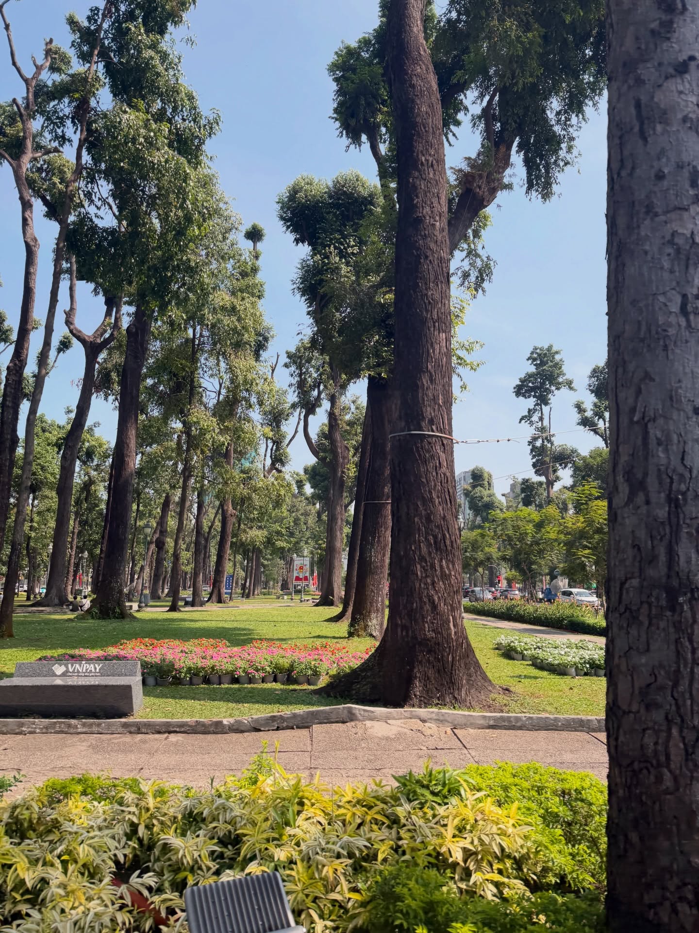 เก่ง - หฤษฎ์ บัวย้อย