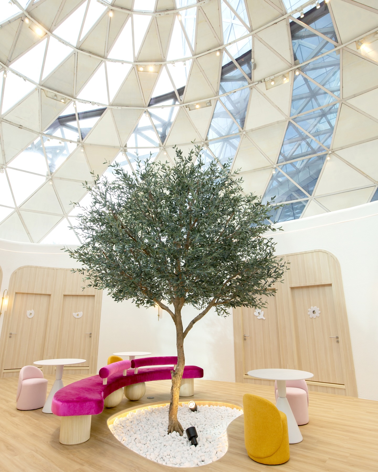 เก่ง - หฤษฎ์ บัวย้อย