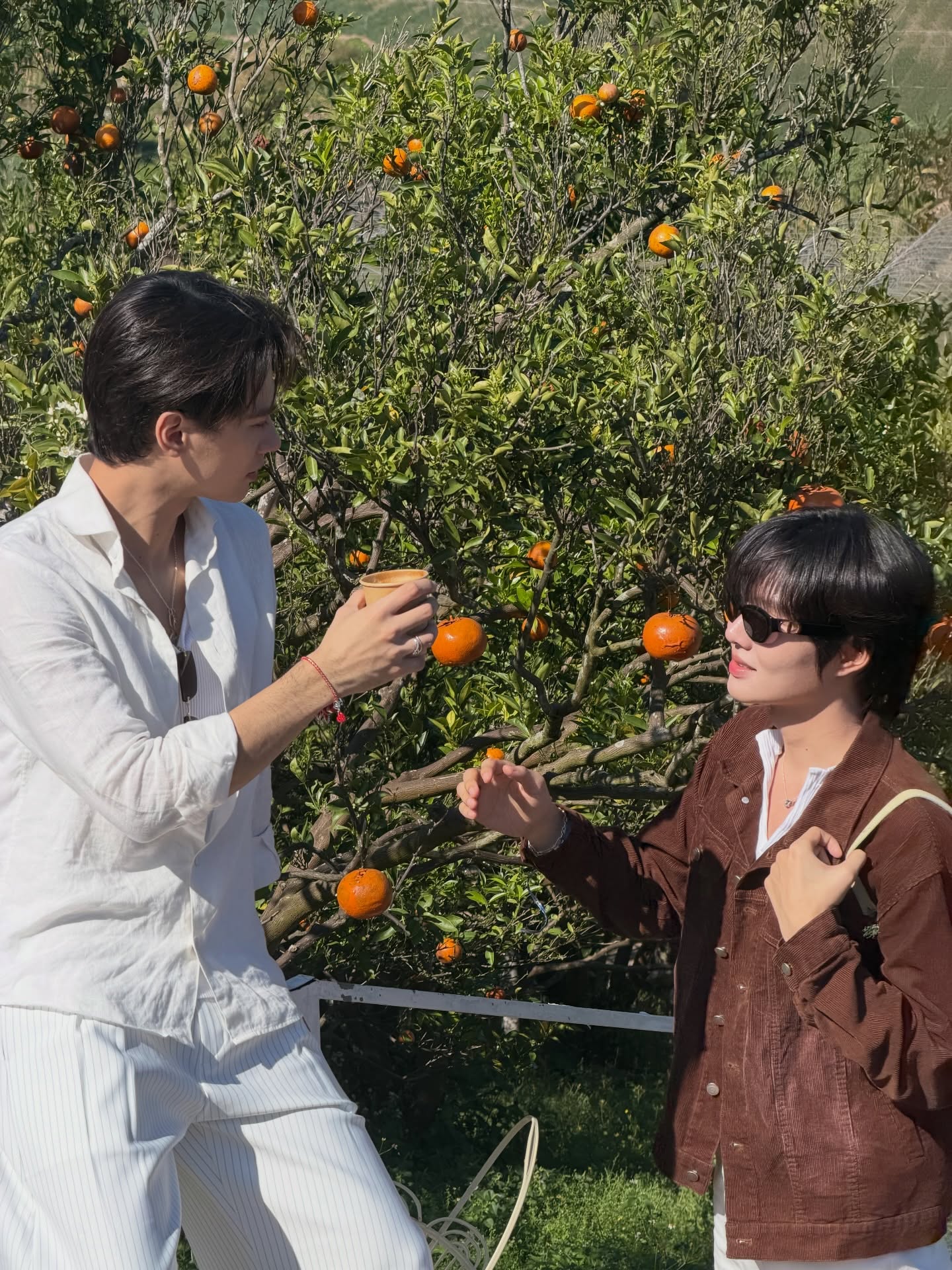 เก่ง - หฤษฎ์ บัวย้อย