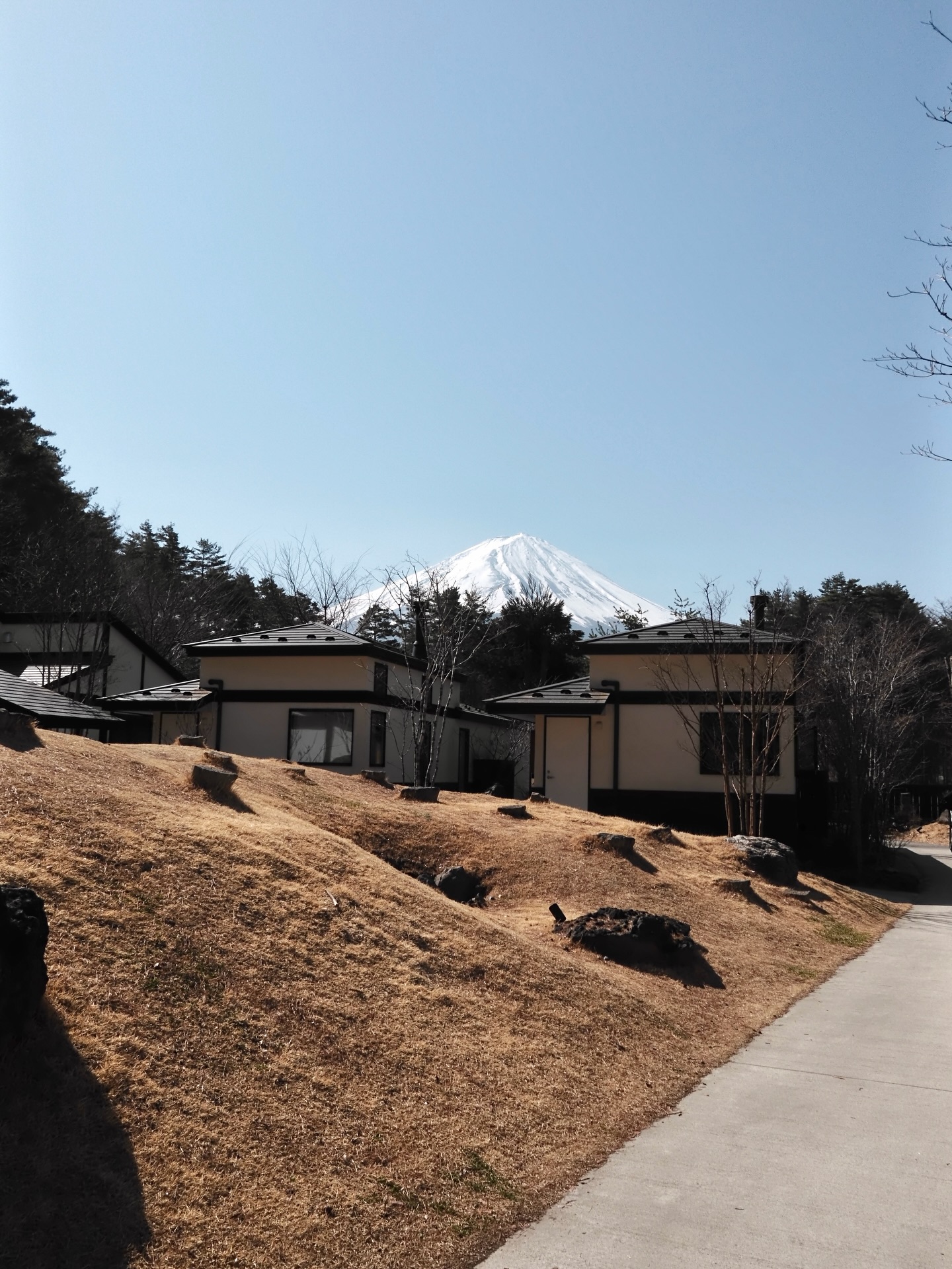 เก่ง - หฤษฎ์ บัวย้อย