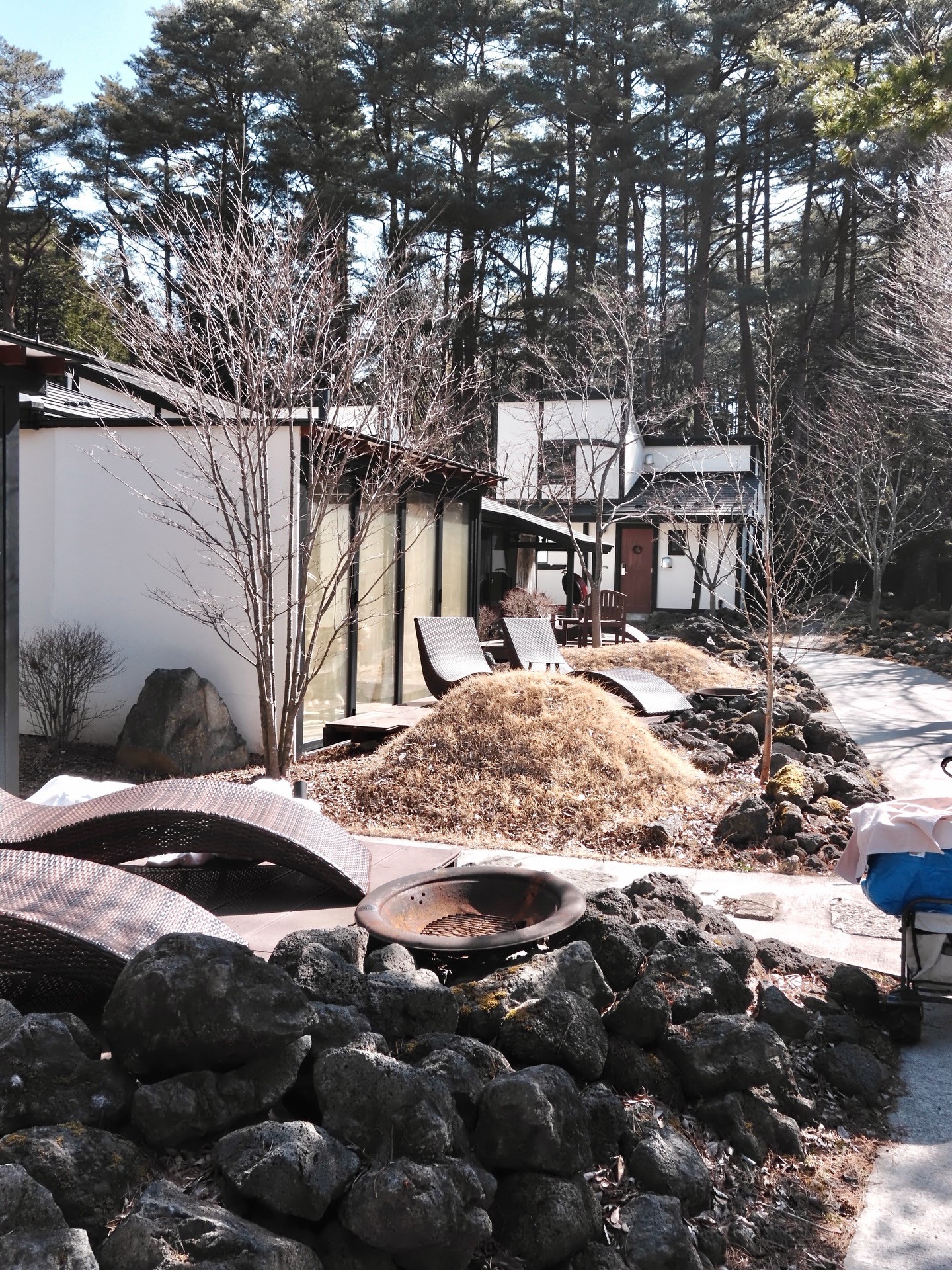 เก่ง - หฤษฎ์ บัวย้อย