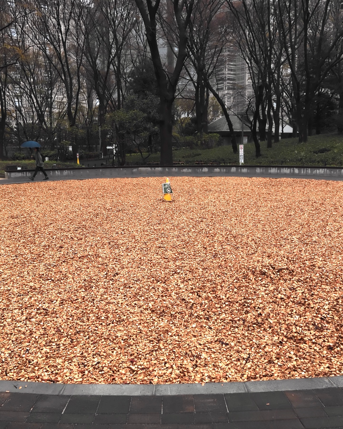 เก่ง - หฤษฎ์ บัวย้อย