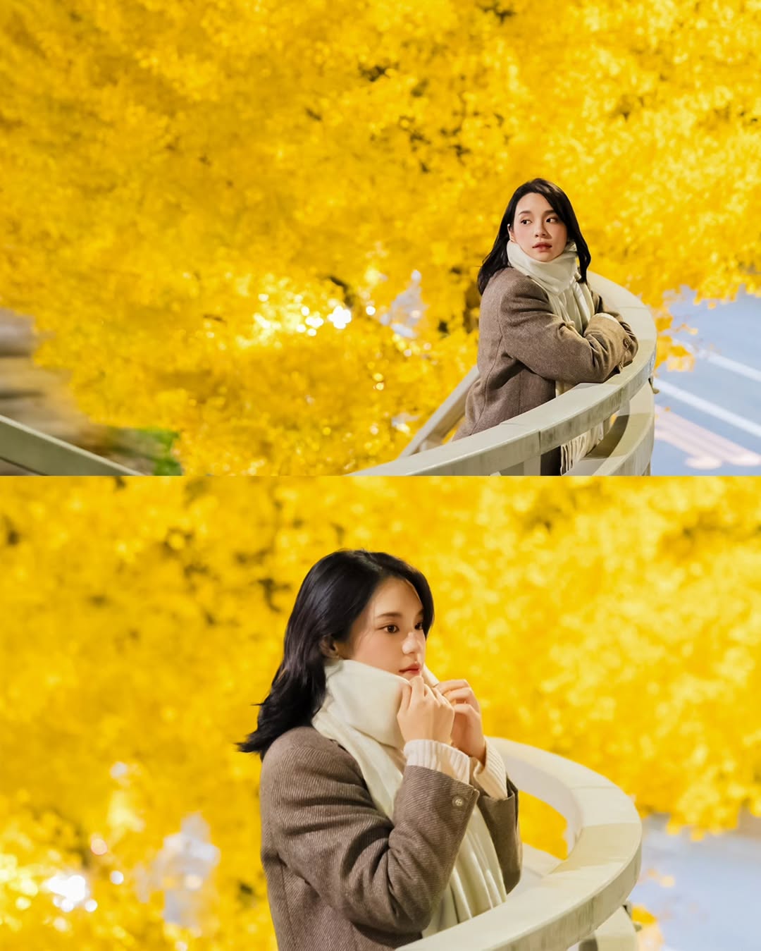 เฌอปราง อารีย์กุล