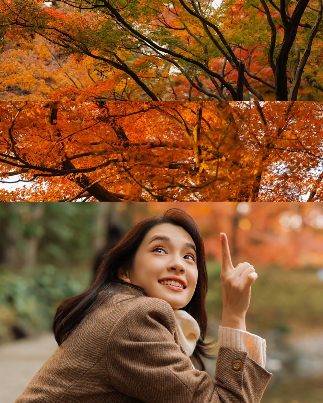 เฌอปราง อารีย์กุล