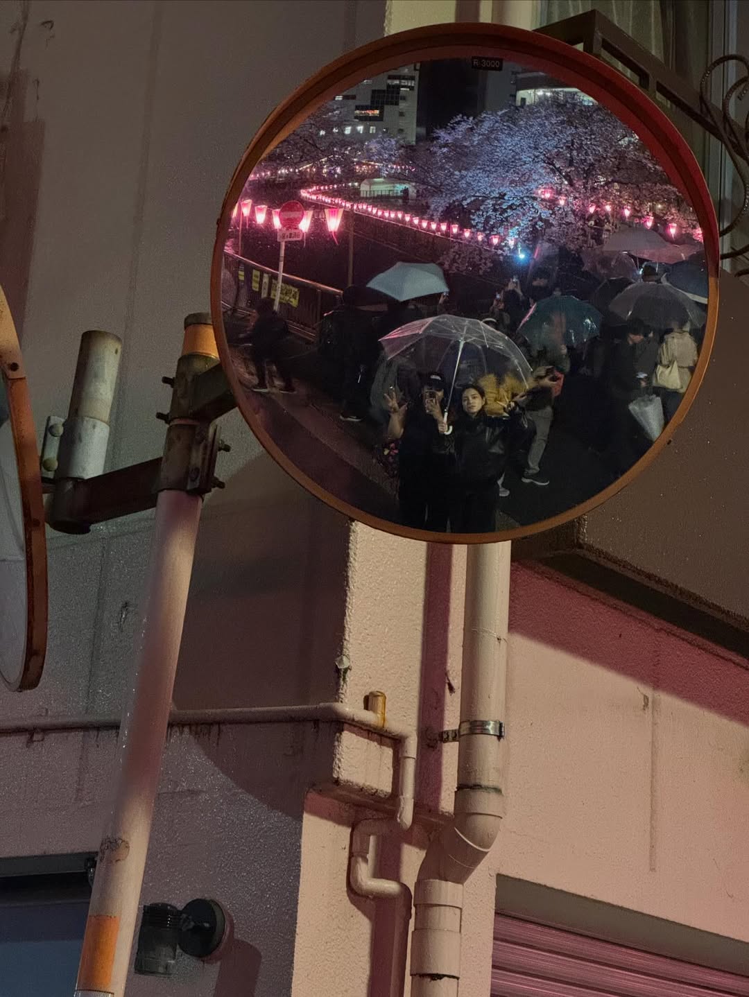 เฌอปราง อารีย์กุล