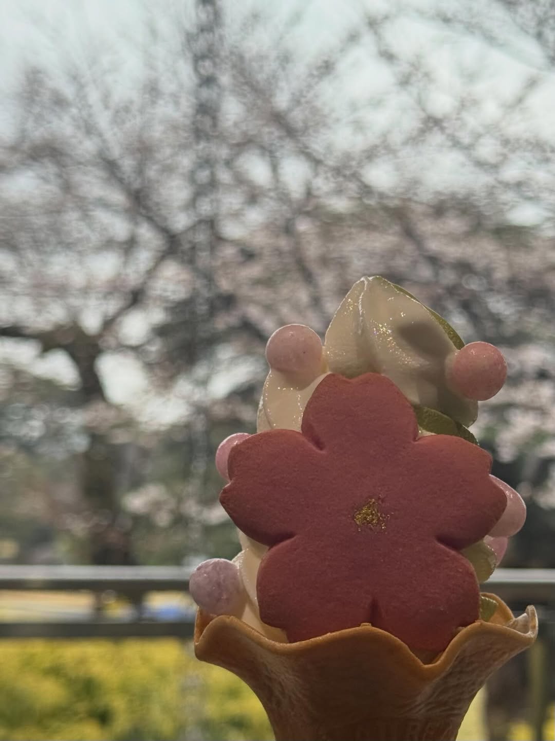 เฌอปราง อารีย์กุล