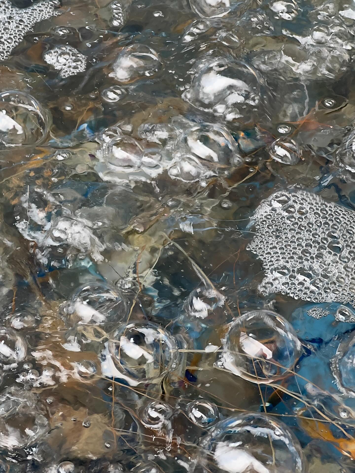 เฌอปราง อารีย์กุล