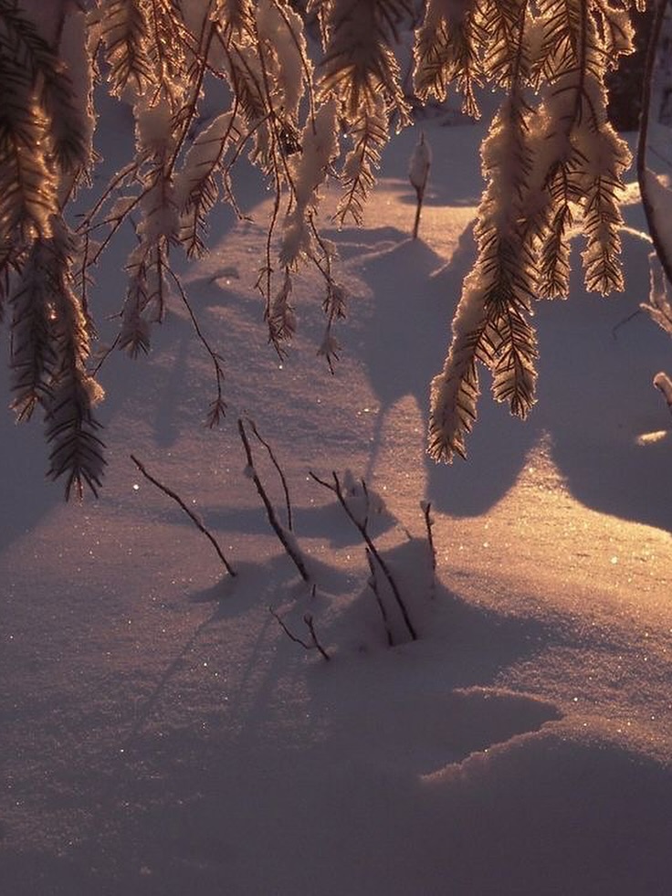 อร - พัศชนันท์ เจียจิรโชติ