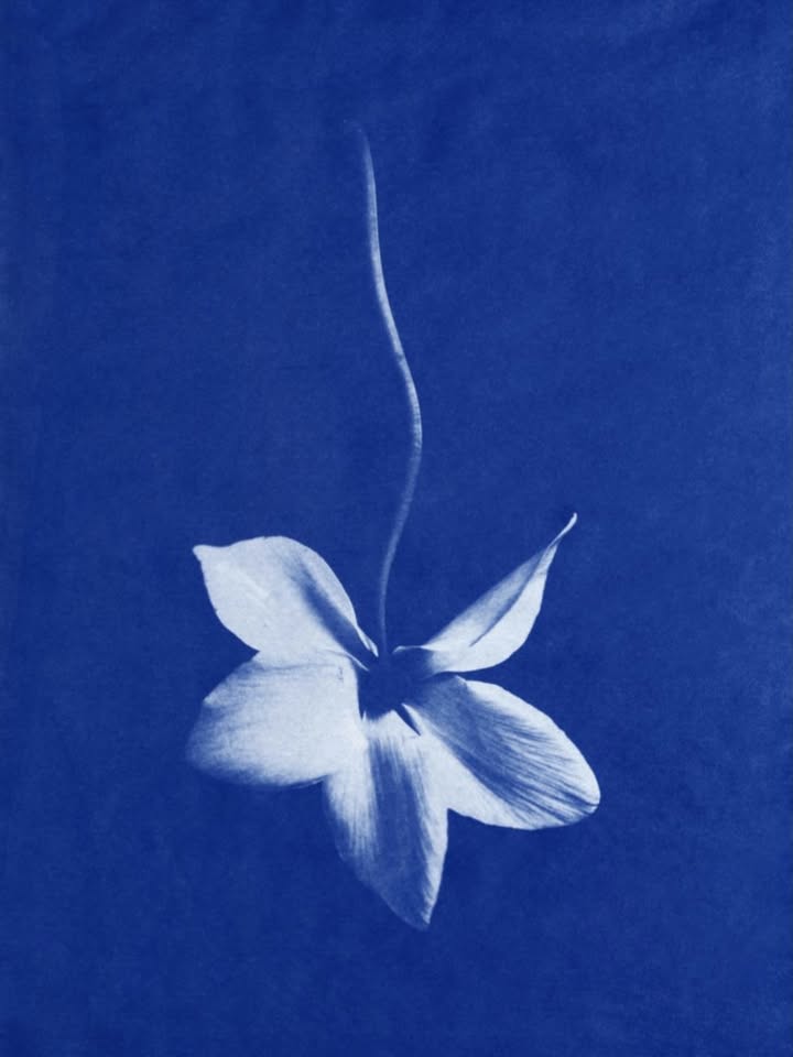 อร - พัศชนันท์ เจียจิรโชติ