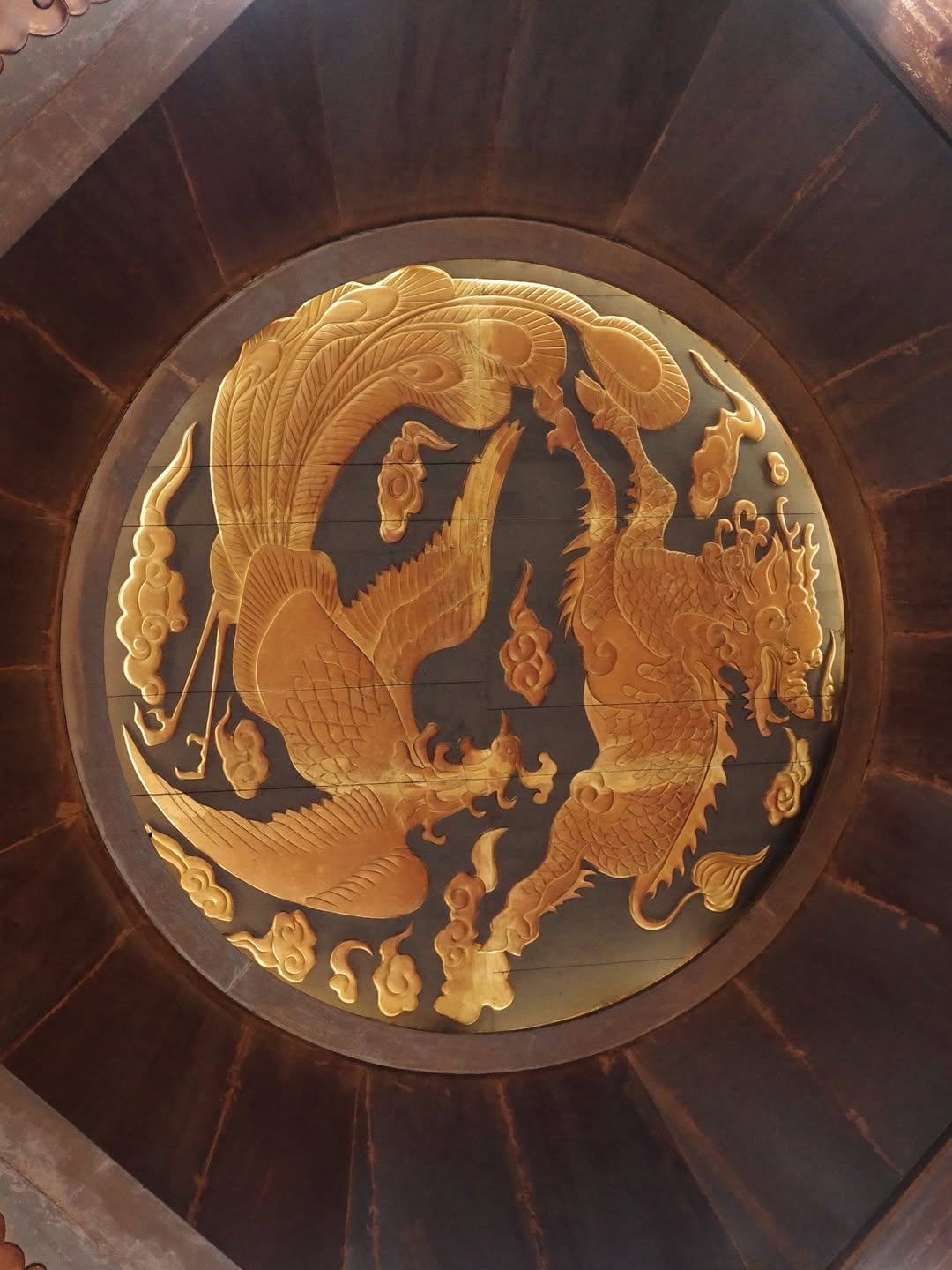 อร - พัศชนันท์ เจียจิรโชติ