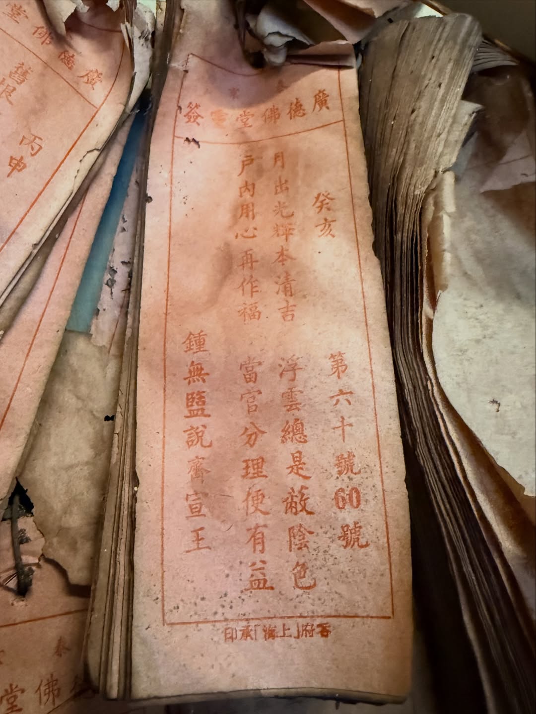 อร - พัศชนันท์ เจียจิรโชติ