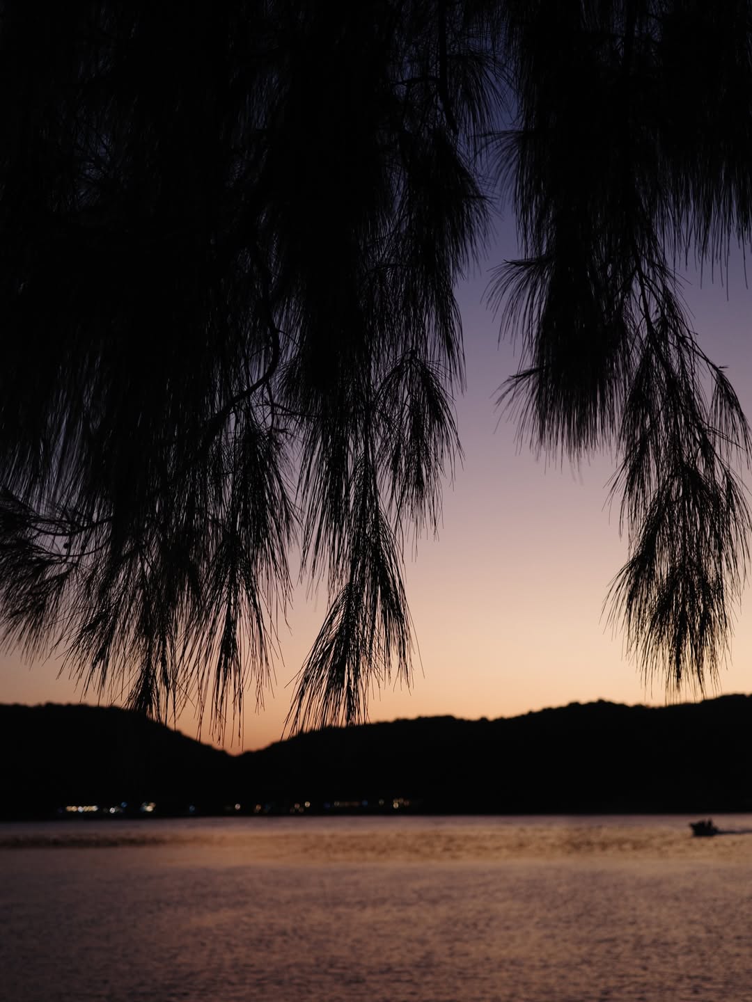 อร - พัศชนันท์ เจียจิรโชติ