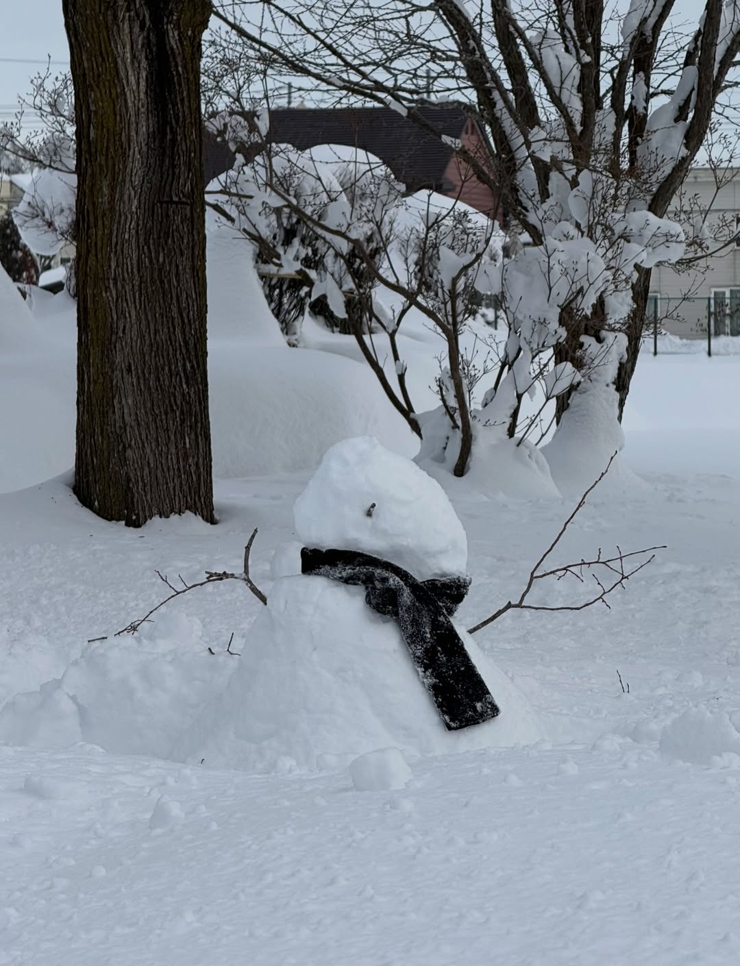 อร - พัศชนันท์ เจียจิรโชติ