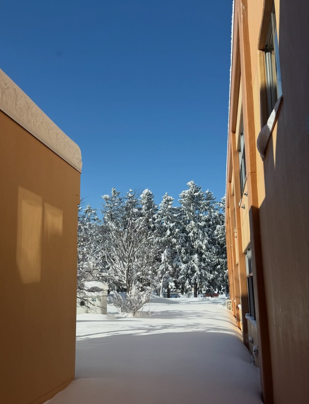 อร - พัศชนันท์ เจียจิรโชติ