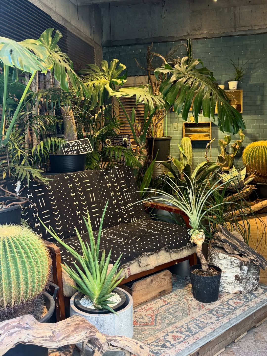 อร - พัศชนันท์ เจียจิรโชติ