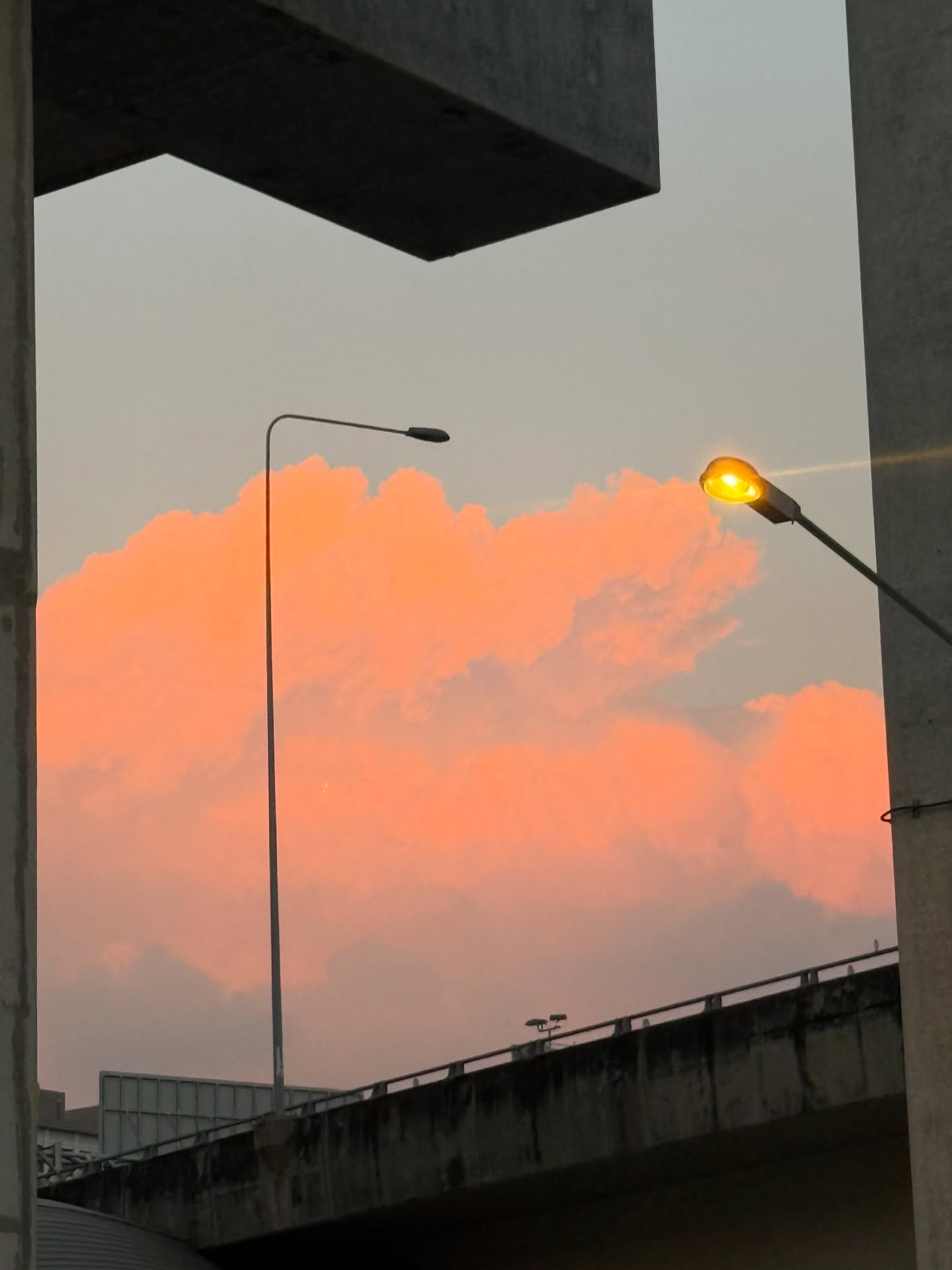 อร - พัศชนันท์ เจียจิรโชติ