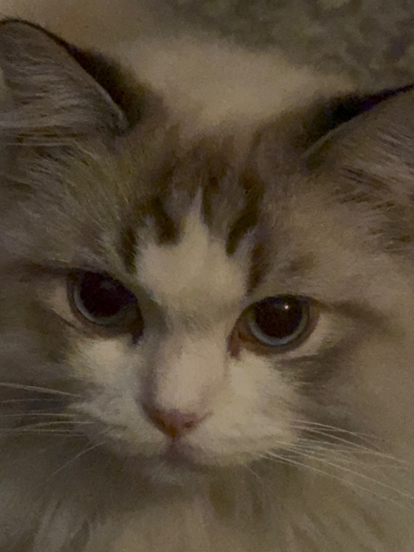 อร - พัศชนันท์ เจียจิรโชติ