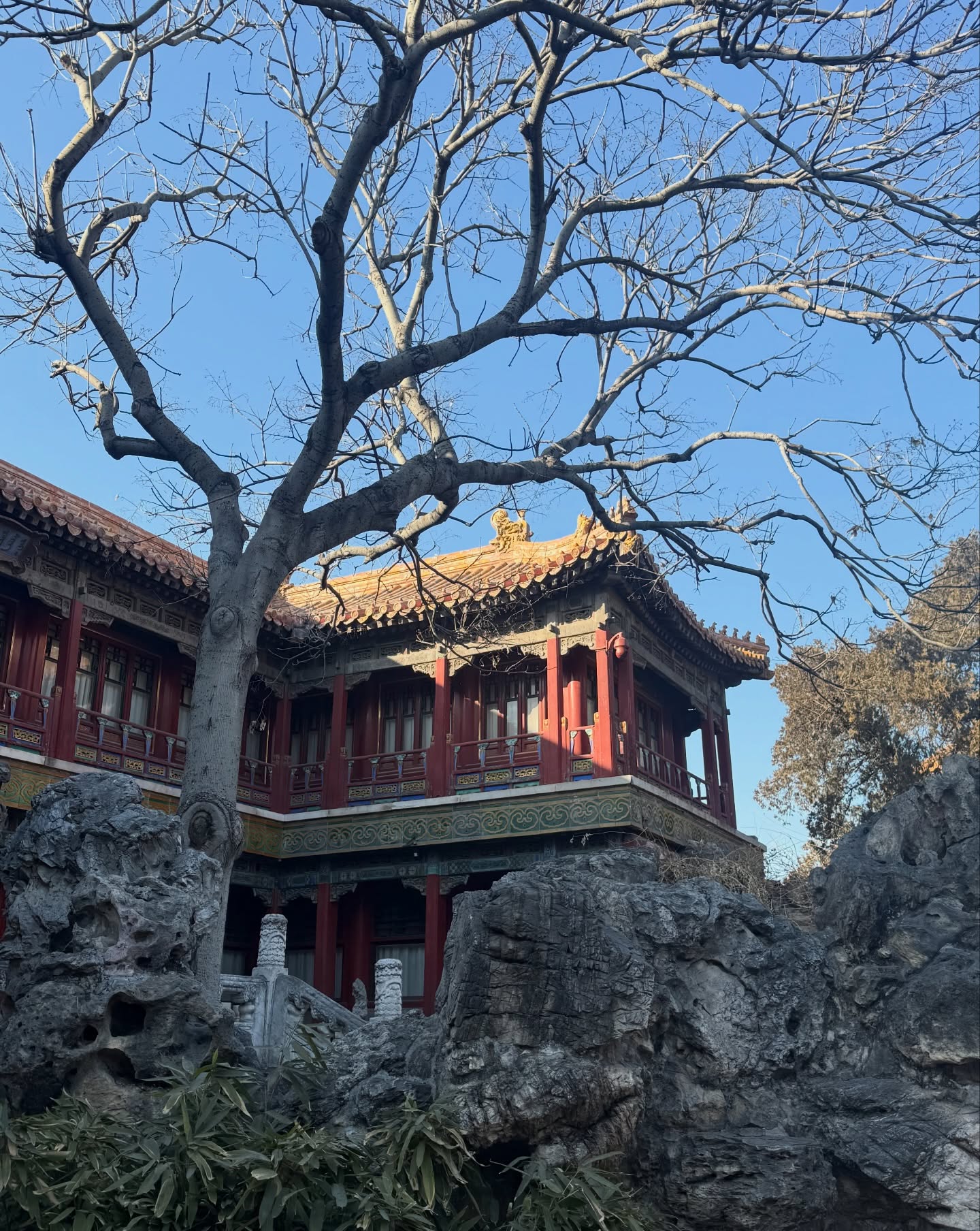 อร - พัศชนันท์ เจียจิรโชติ