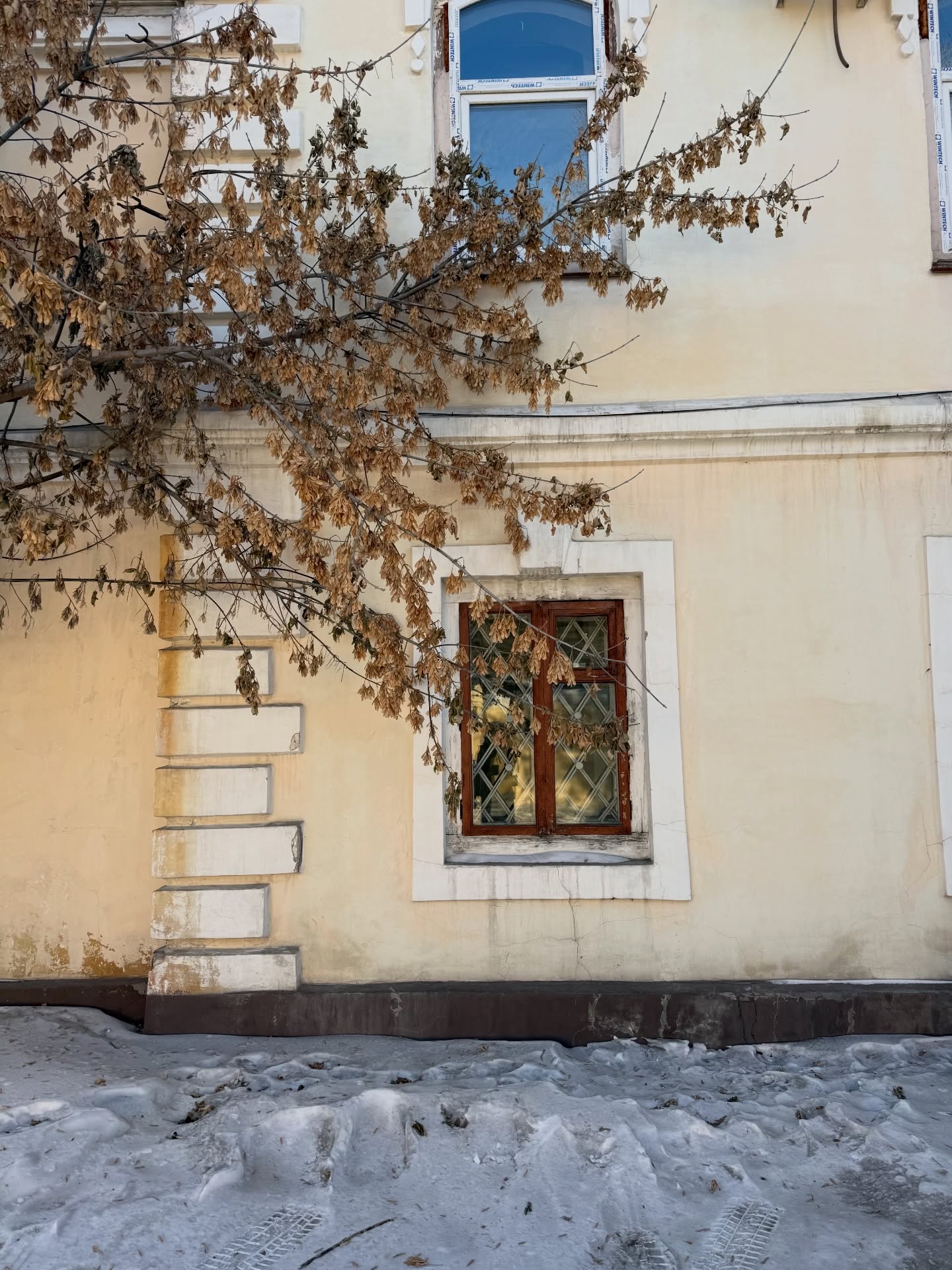 อร - พัศชนันท์ เจียจิรโชติ