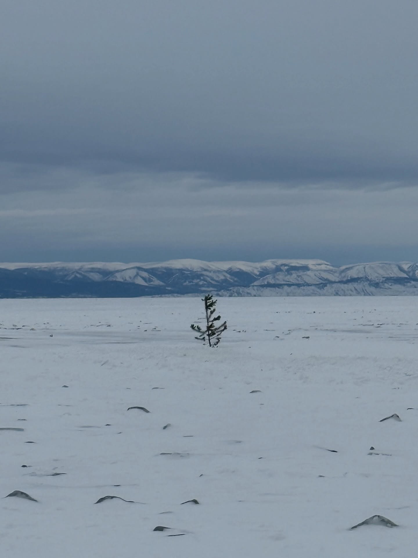 อร - พัศชนันท์ เจียจิรโชติ