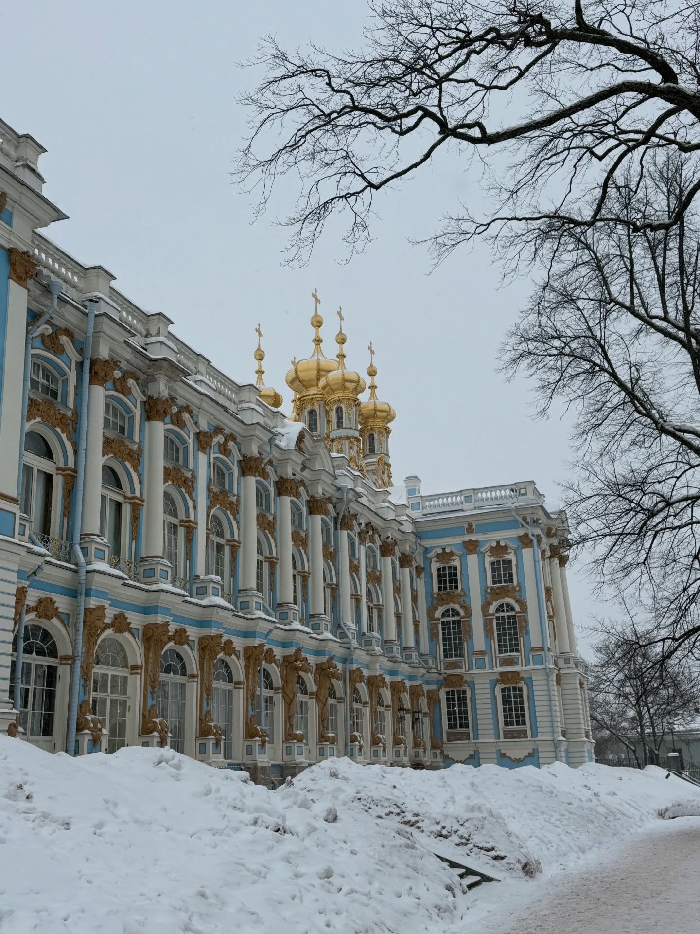 อร - พัศชนันท์ เจียจิรโชติ