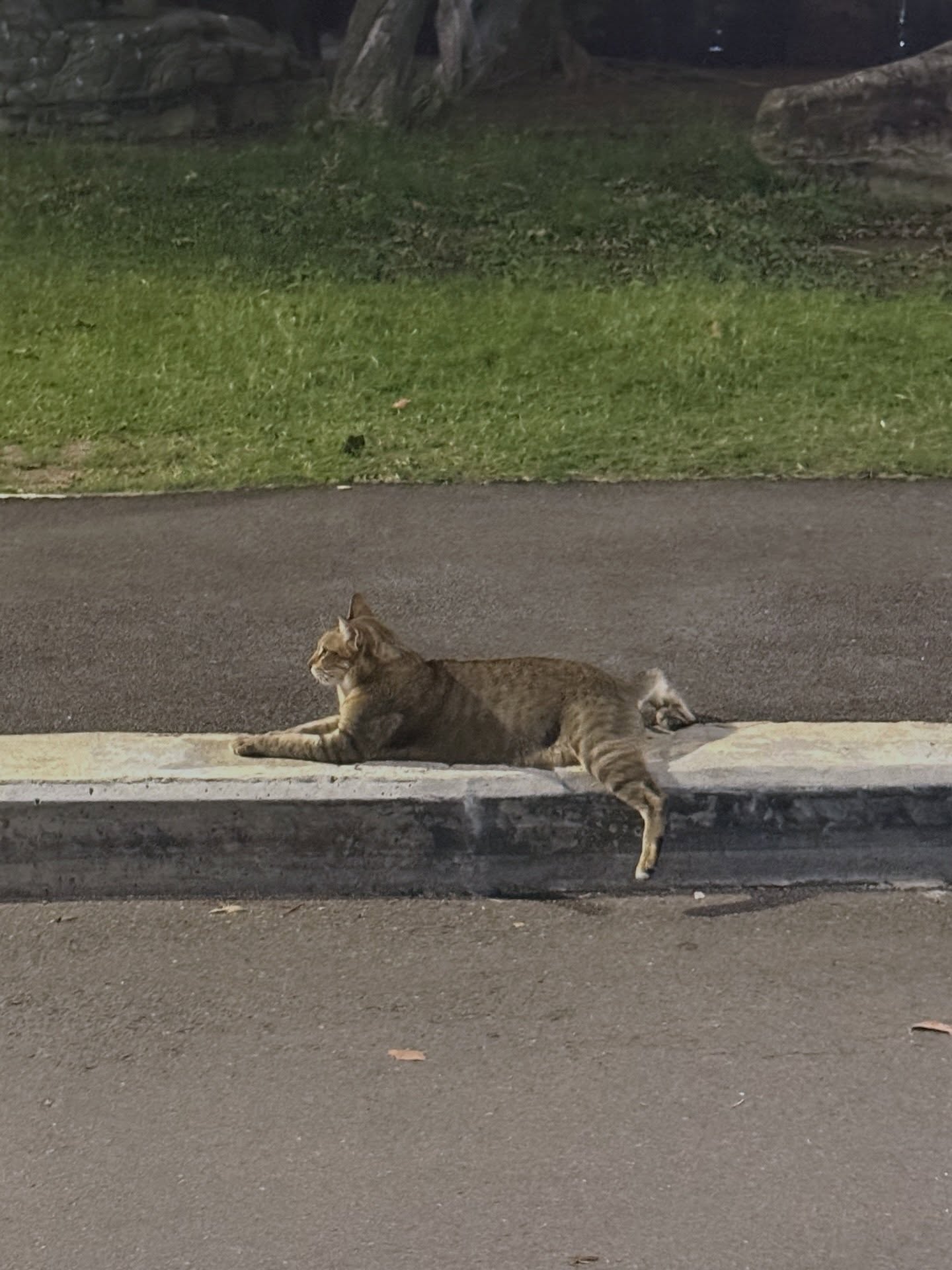 อร - พัศชนันท์ เจียจิรโชติ