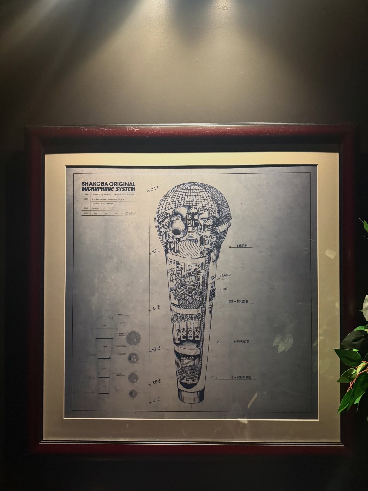 อร - พัศชนันท์ เจียจิรโชติ