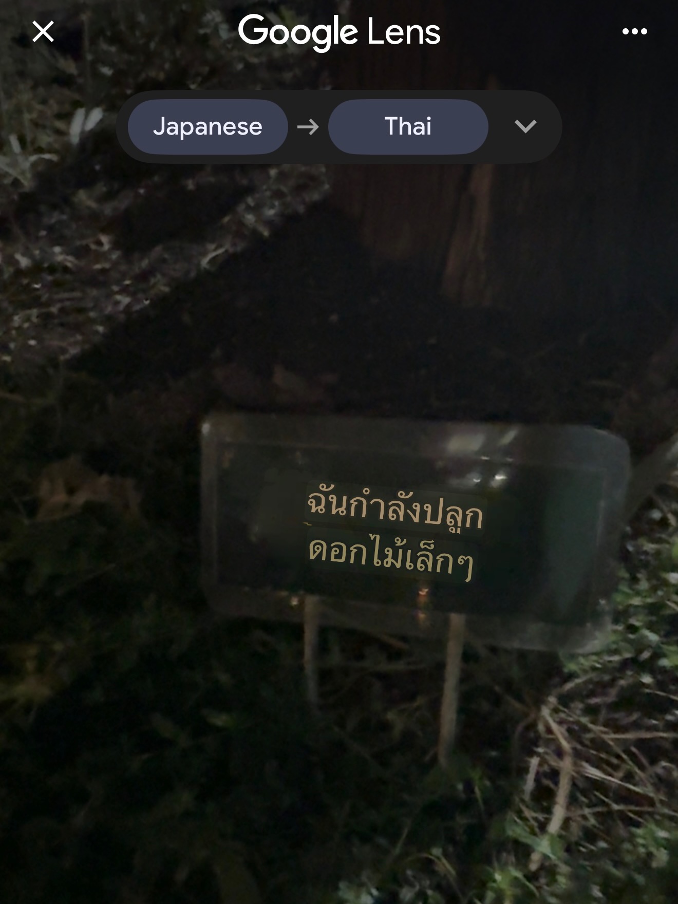 อร - พัศชนันท์ เจียจิรโชติ