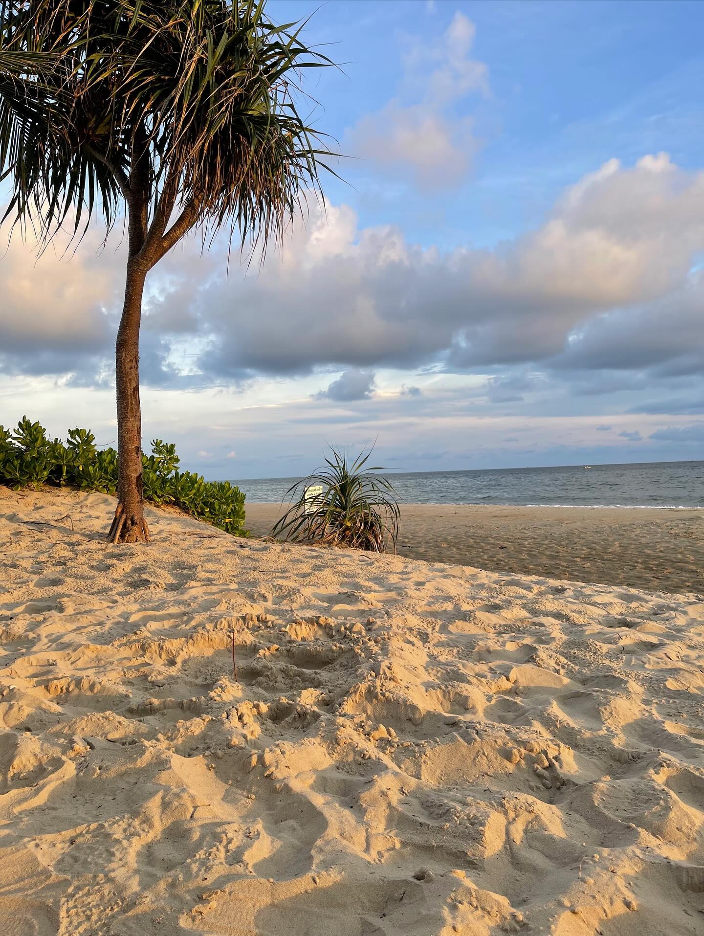 แก้ว - ณัฐรุจา ชุติวรรณโสภณ