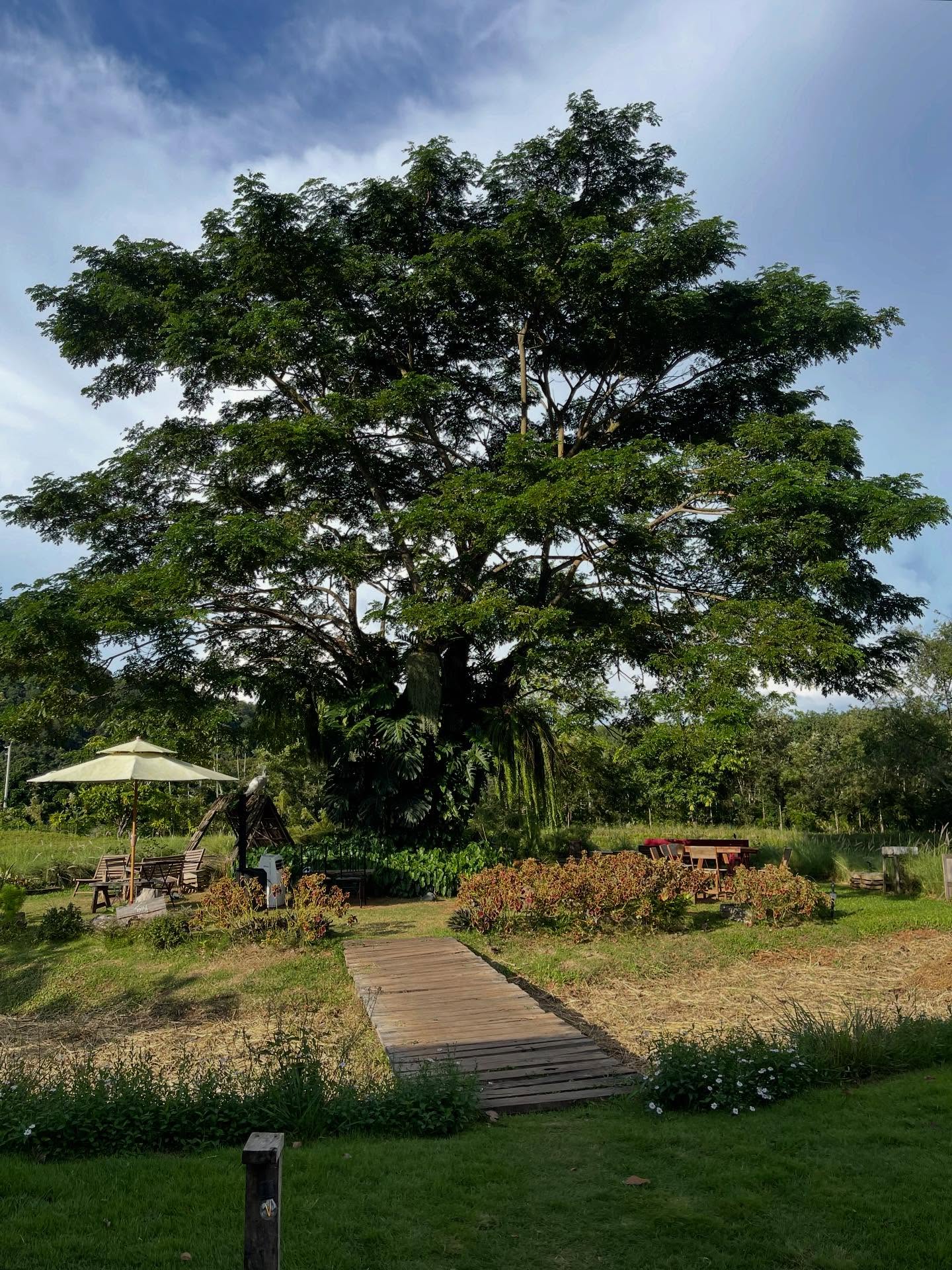 แก้ว - ณัฐรุจา ชุติวรรณโสภณ