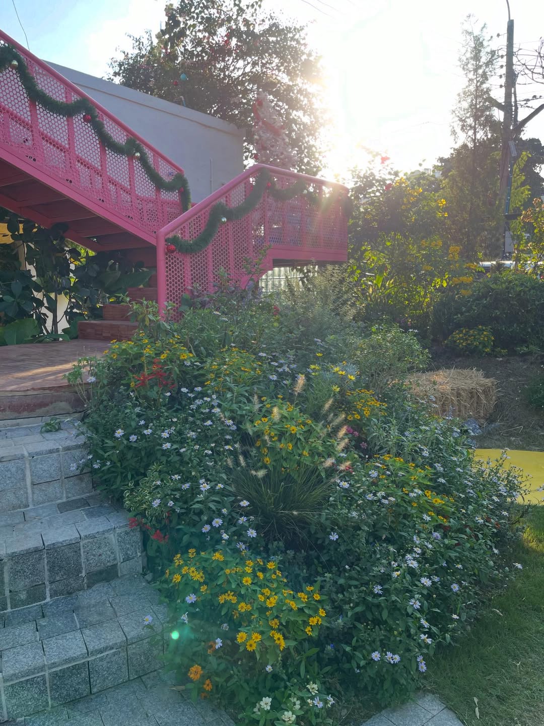 แก้ว - ณัฐรุจา ชุติวรรณโสภณ