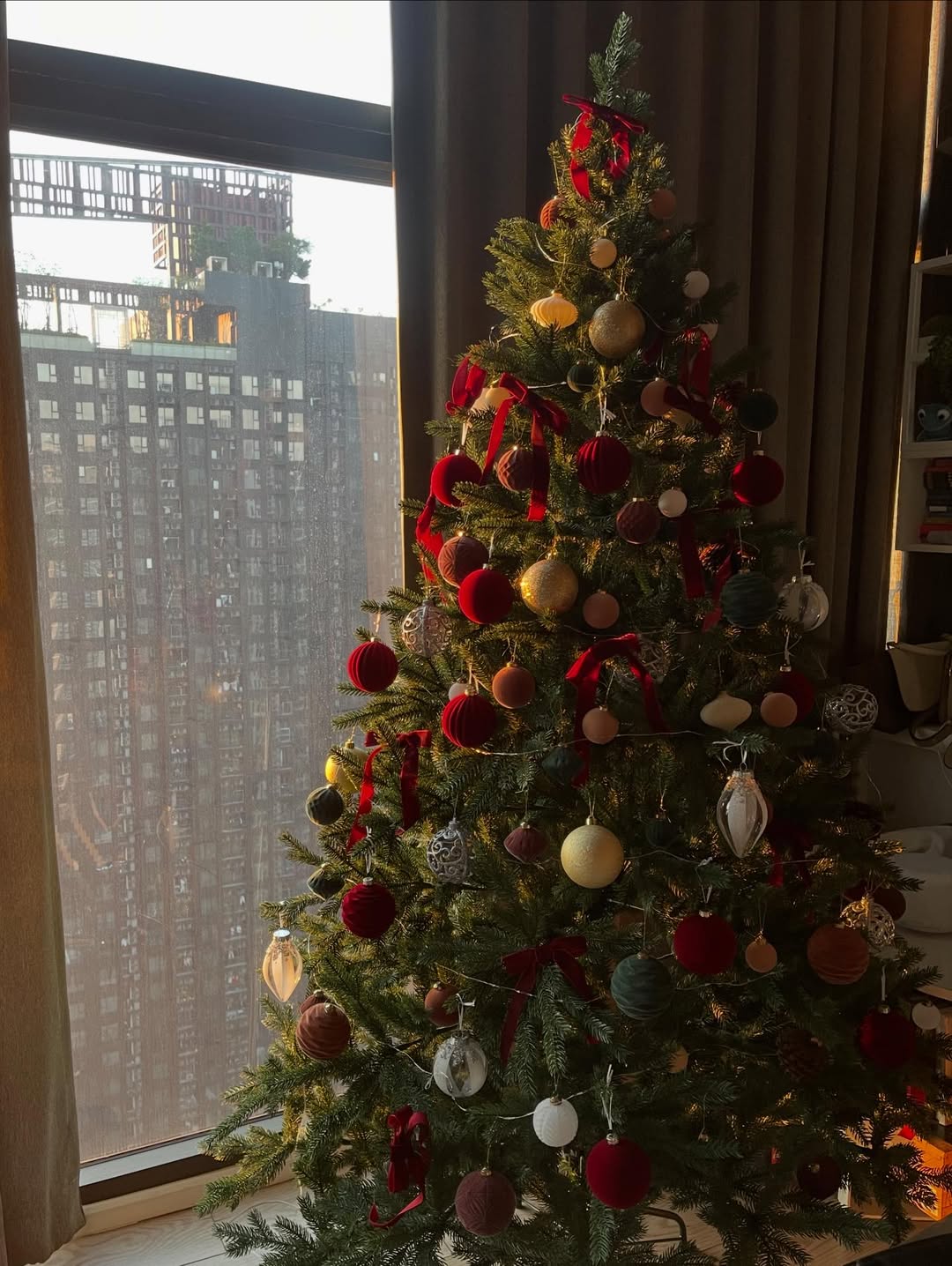 แก้ว - ณัฐรุจา ชุติวรรณโสภณ