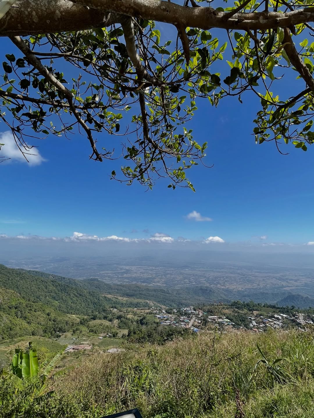 แก้ว - ณัฐรุจา ชุติวรรณโสภณ