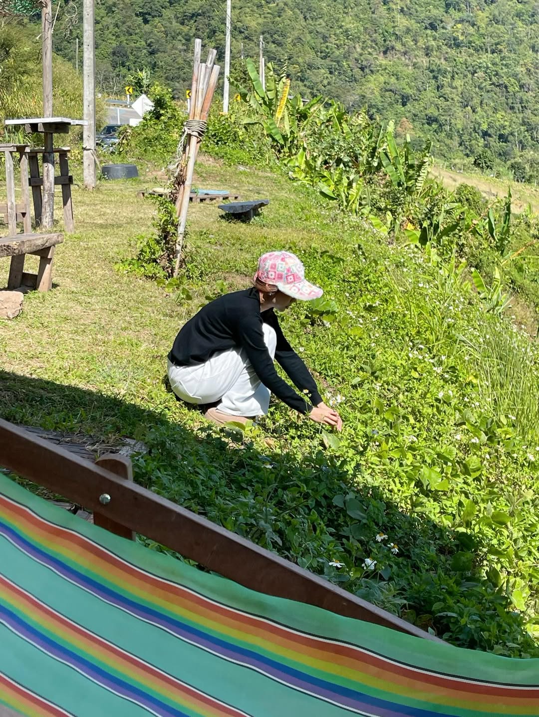 แก้ว - ณัฐรุจา ชุติวรรณโสภณ