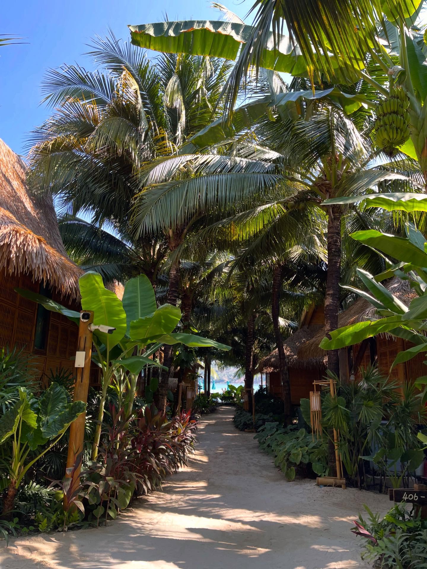 แก้ว - ณัฐรุจา ชุติวรรณโสภณ