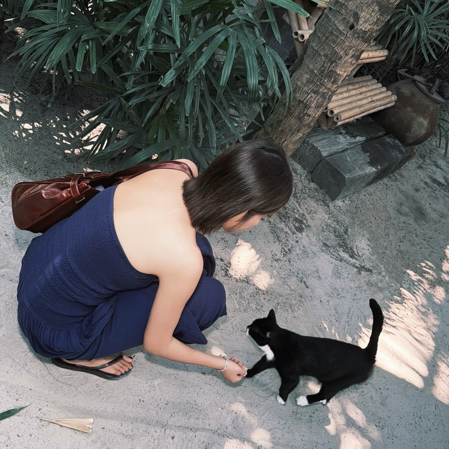 โมบายล์ - พิมรภัส ผดุงวัฒนะโชค