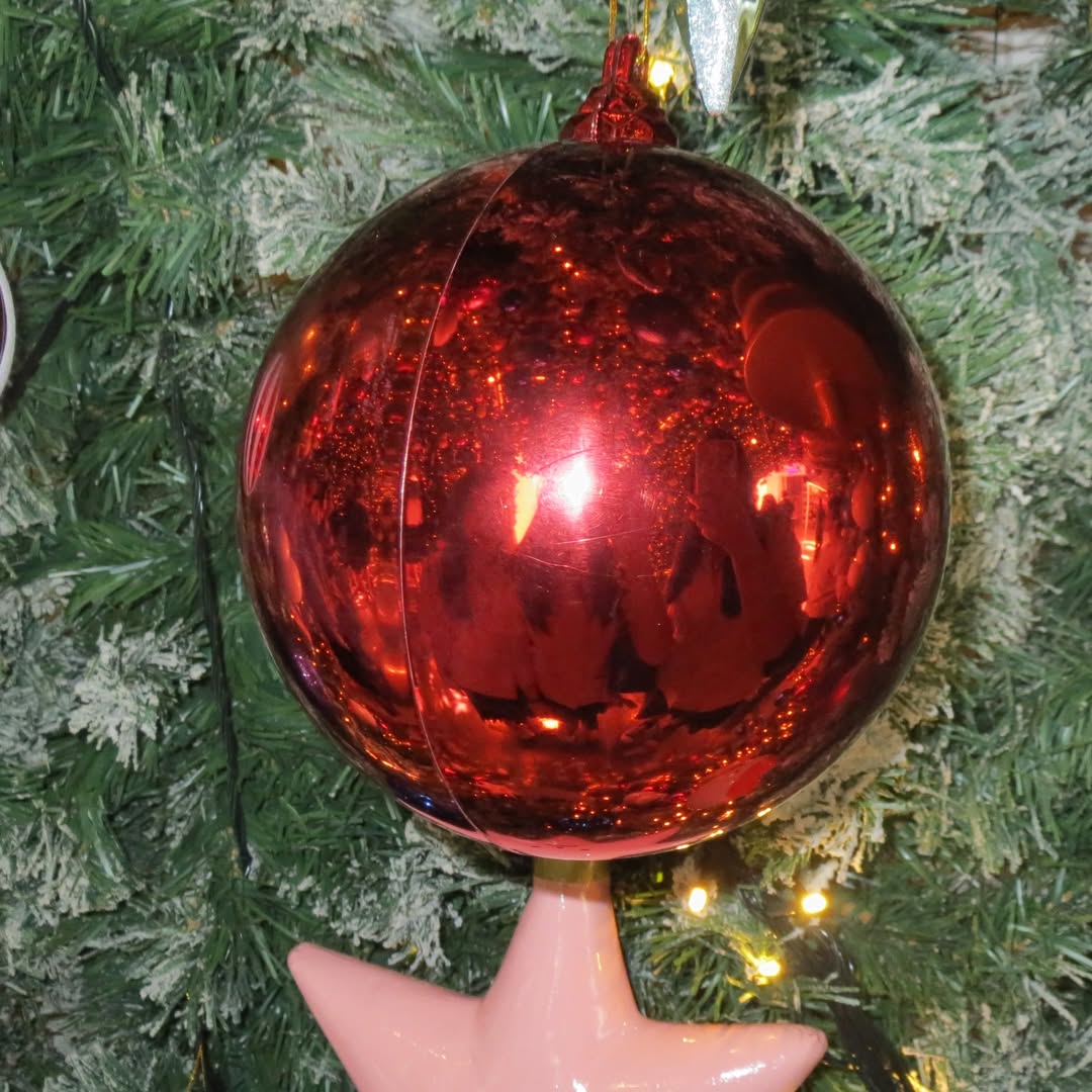 จ๋า - ณปภัช วรพฤทธานนท์