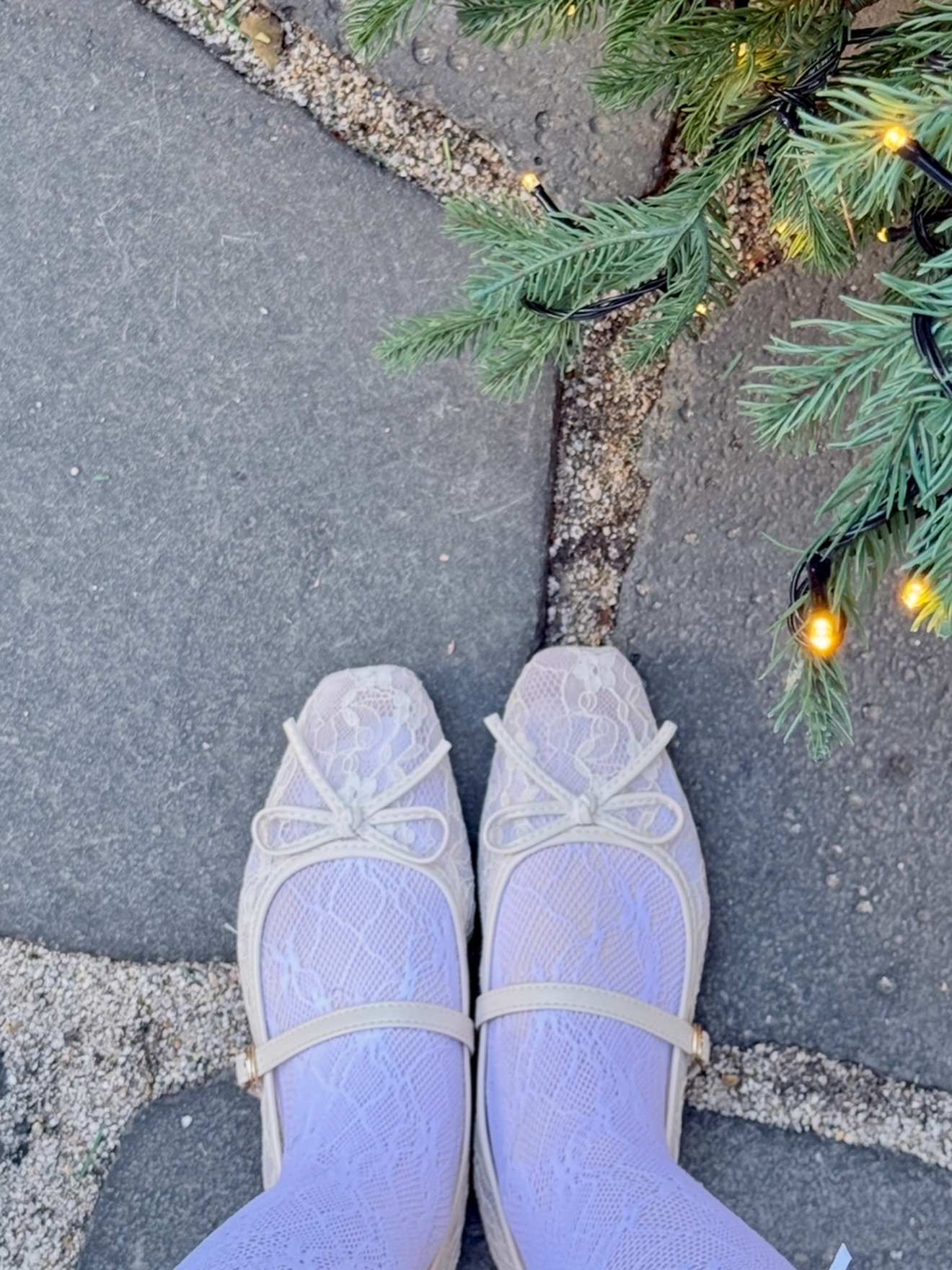 จ๋า - ณปภัช วรพฤทธานนท์