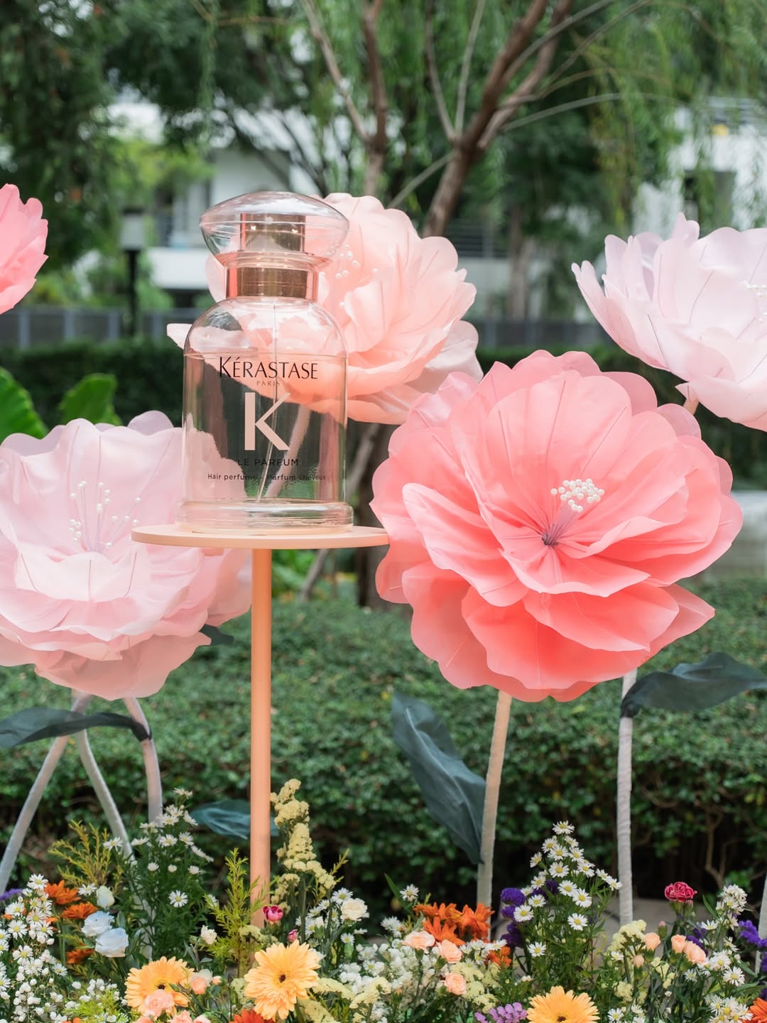 จ๋า - ณปภัช วรพฤทธานนท์