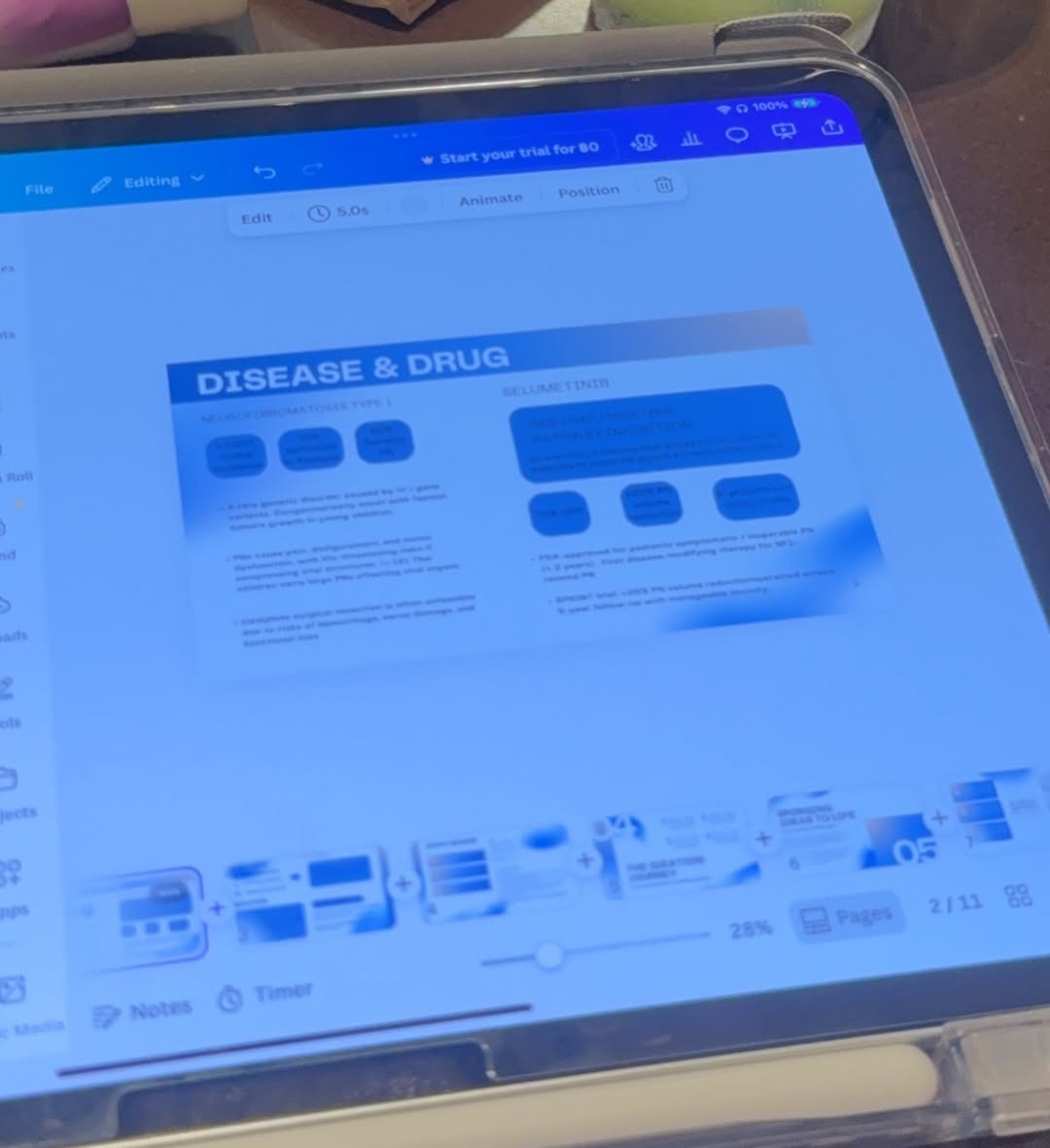 จ๋า - ณปภัช วรพฤทธานนท์