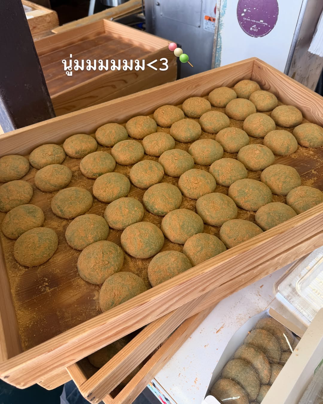 จ๋า - ณปภัช วรพฤทธานนท์