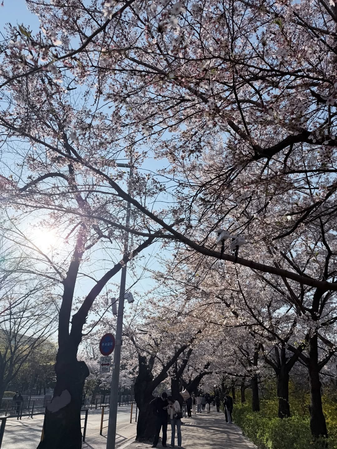 น้ำหนึ่ง - มิลิน ดอกเทียน