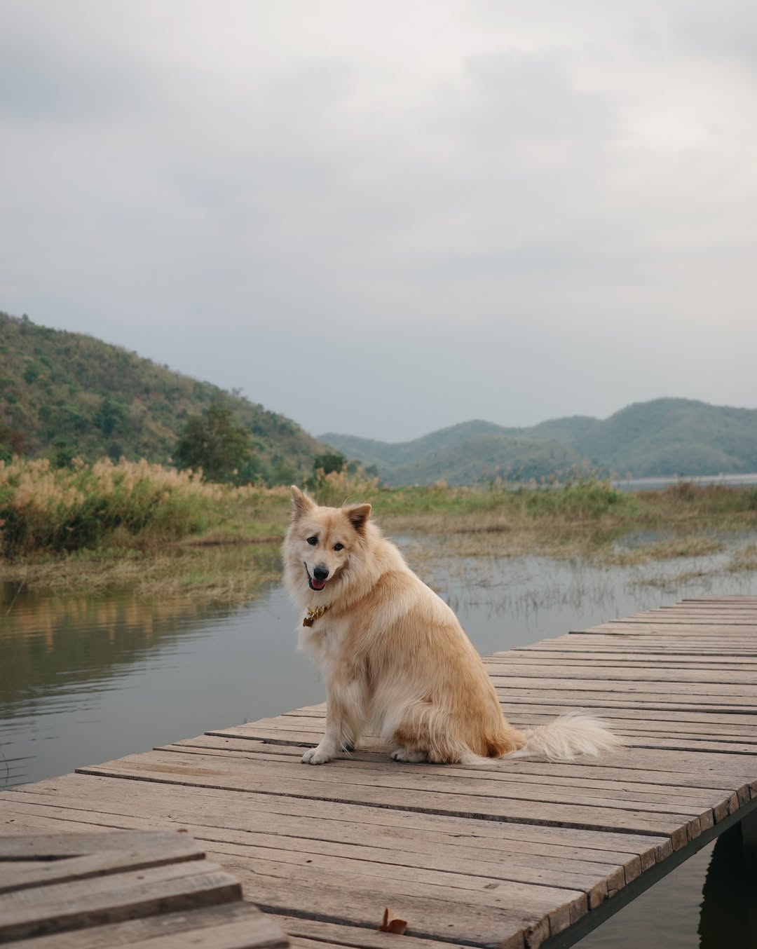 น้ำหนึ่ง - มิลิน ดอกเทียน