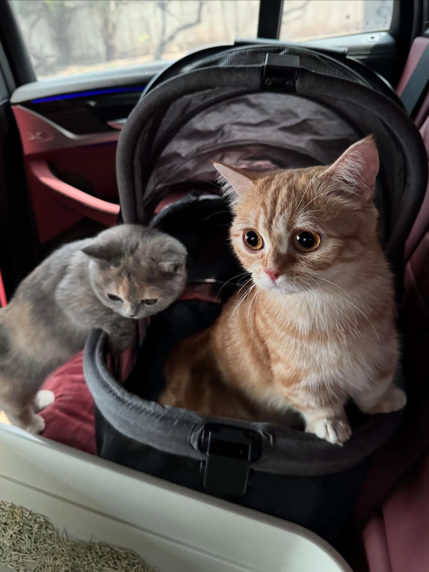 เนย - กานต์ธีรา วัชรทัศนกุล