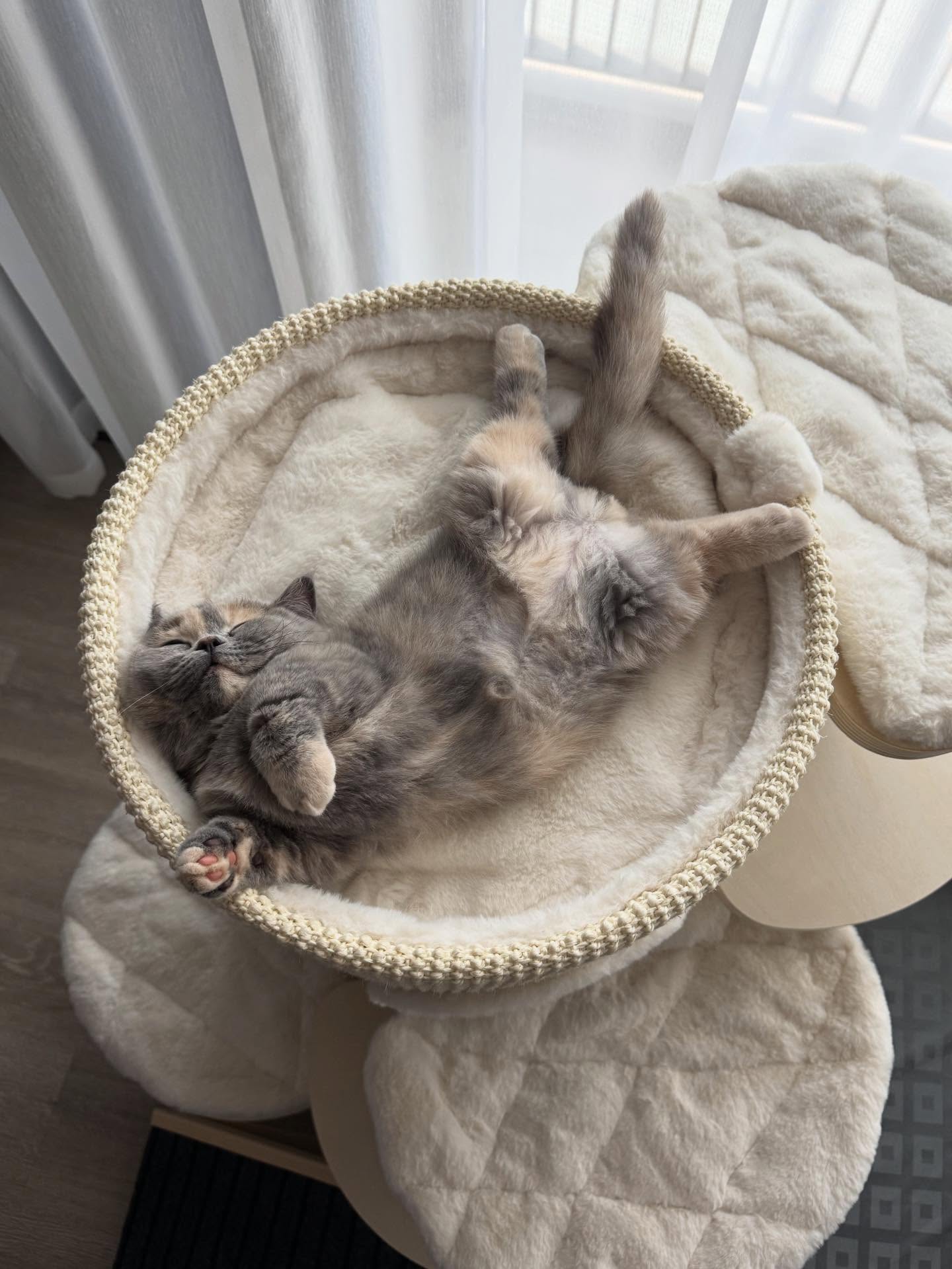 เนย - กานต์ธีรา วัชรทัศนกุล