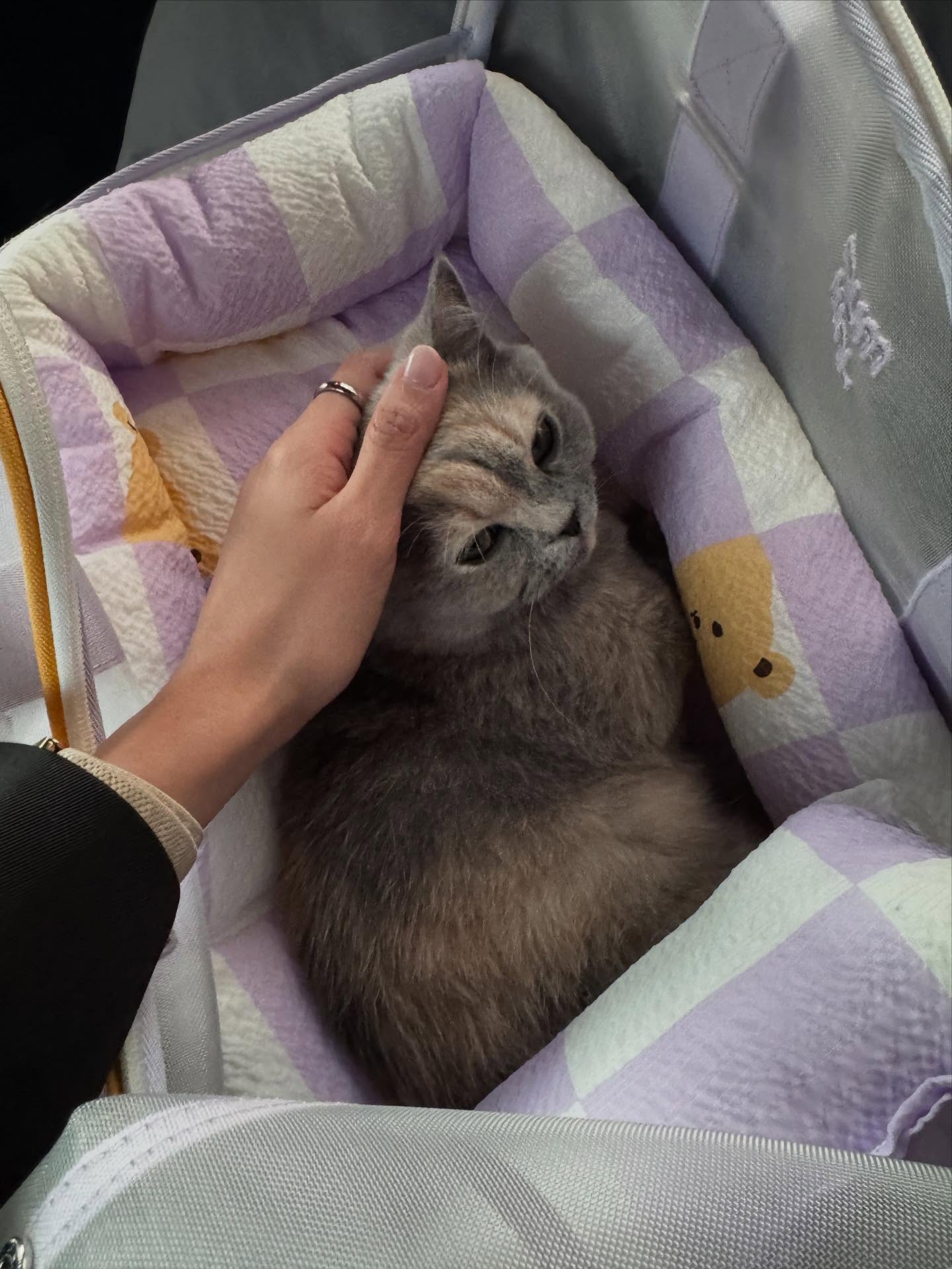 เนย - กานต์ธีรา วัชรทัศนกุล